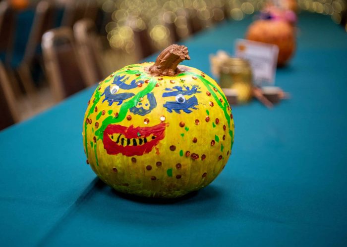 Elderday pumpkins
