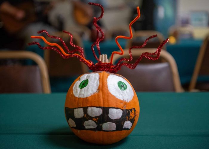 Elderday pumpkins3
