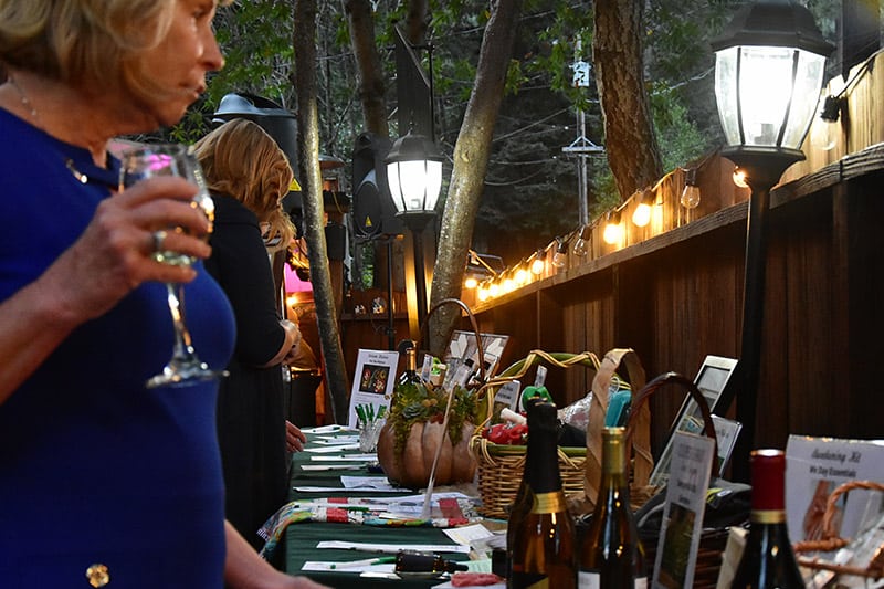 people viewing charity auction items